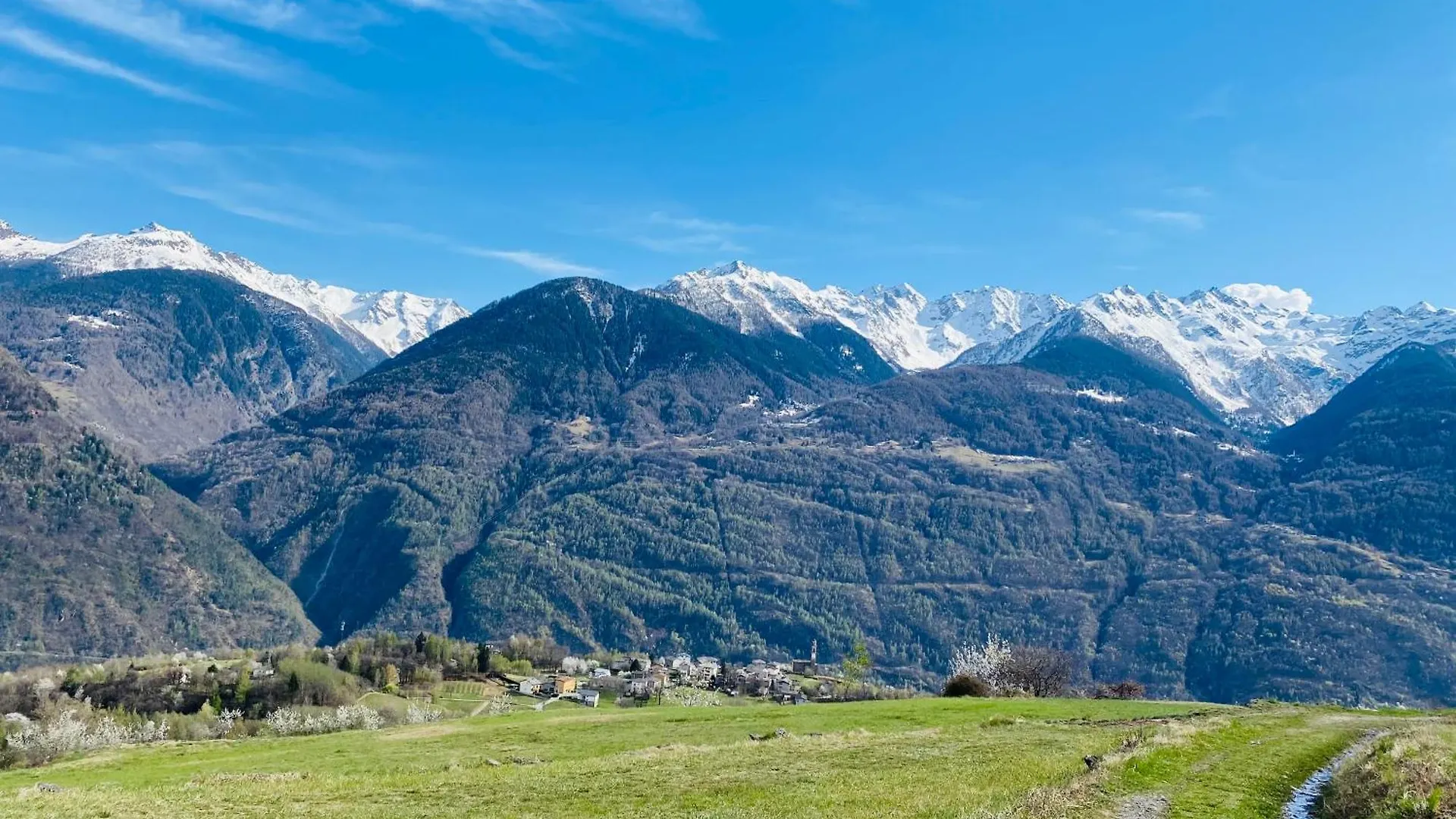 Casa Giuliana Apartment Teglio Italy